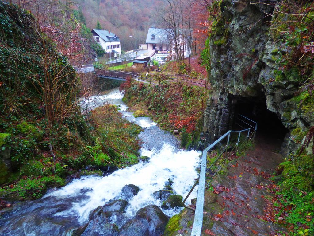 Ferienwohnungen Schenk Schmitz Bad Bertrich Luaran gambar